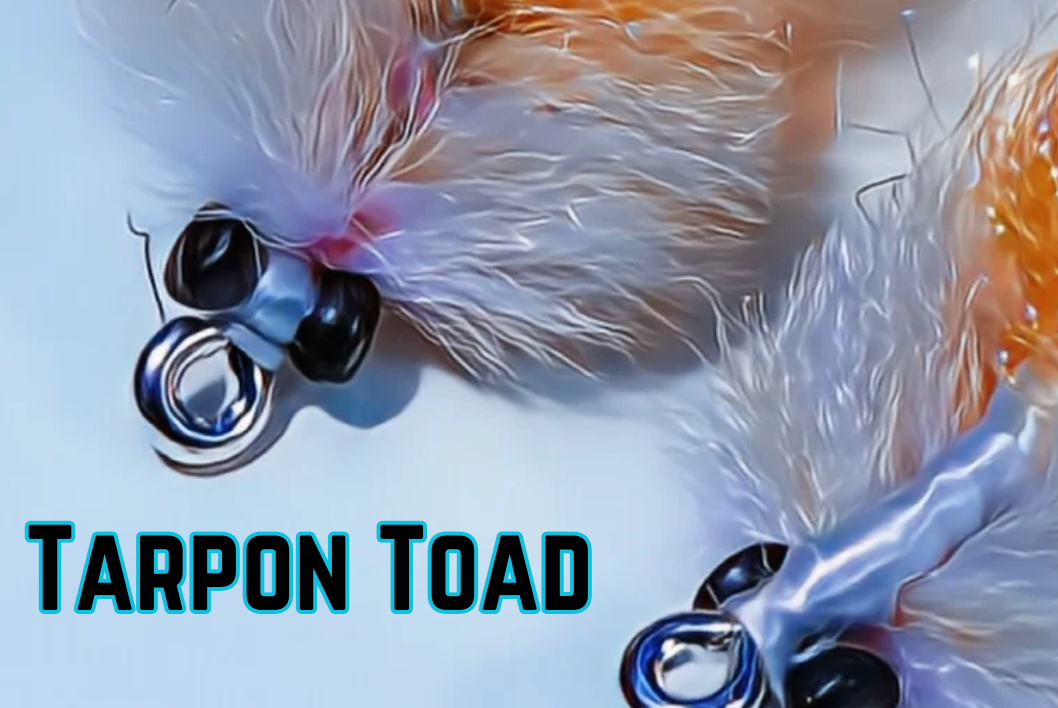 Tarpon Toad