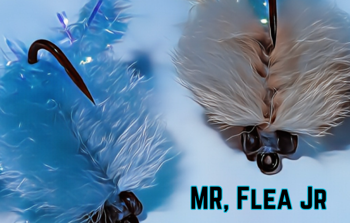 Mr, Flea Jr