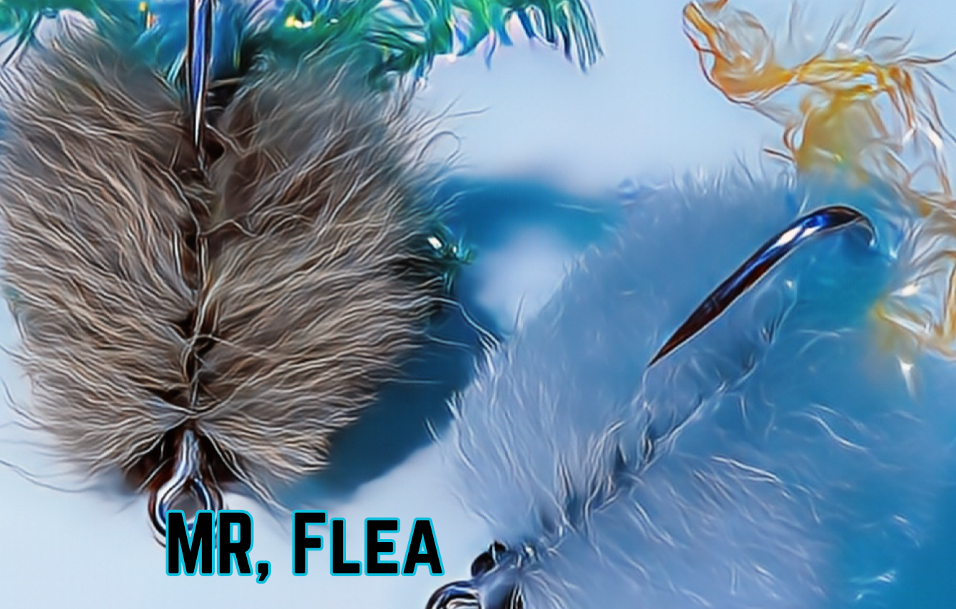 Mr, Flea