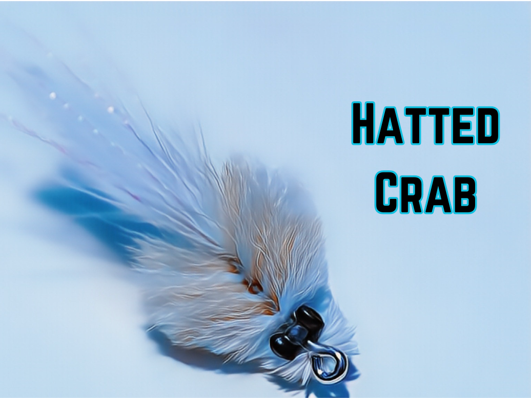 Hatted Crab