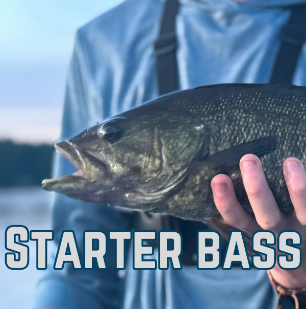 Starter Bass Bundle